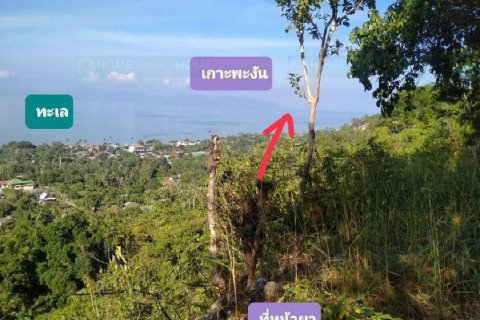 Terreno 16000 m2 en Ko Samui, Tailandia № 180139 - foto 5
