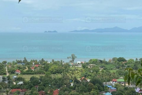 Land in Ko Samui, Thailand 16000 sq.m. № 180139
