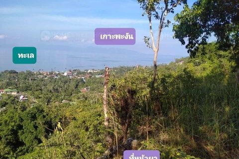 Terreno 16000 m2 en Ko Samui, Tailandia № 180139 - foto 4