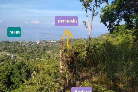Terreno 16000 m2 en Ko Samui, Tailandia № 180139 - foto 6