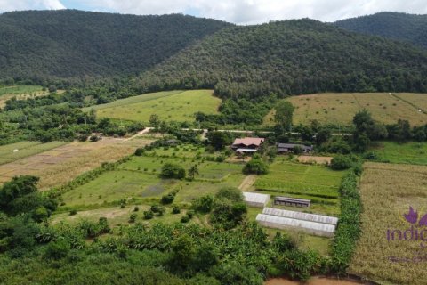 Local comercial 500 m2 en Chiang Dao, Tailandia № 200365 - foto 5