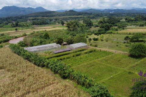 Local comercial 500 m2 en Chiang Dao, Tailandia № 200365 - foto 18