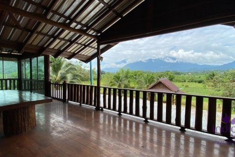 Local comercial 500 m2 en Chiang Dao, Tailandia № 200365 - foto 10