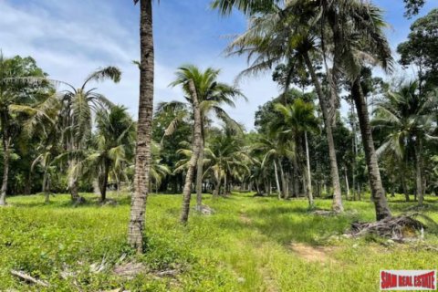 Terreno 24000 m2 en Pa Klok, Tailandia № 203034