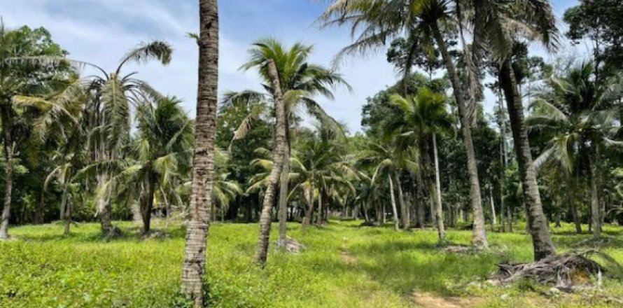 Terreno 24000 m2 en Pa Klok, Tailandia № 203034