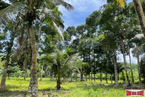 Terreno 24000 m2 en Pa Klok, Tailandia № 203034 - foto 3