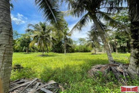 Terreno 24000 m2 en Pa Klok, Tailandia № 203034 - foto 4