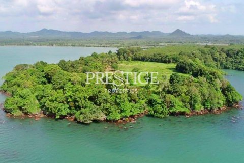 Land in Trat, Thailand 59200 sq.m. № 197574