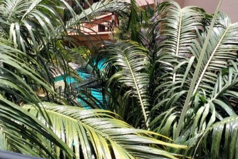 Condominio de 1 dormitorio en Pattaya, Tailandia № 205451 - foto 3
