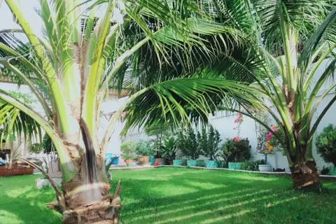 Casa de 3 dormitorios en Pattaya, Tailandia № 155536 - foto 3