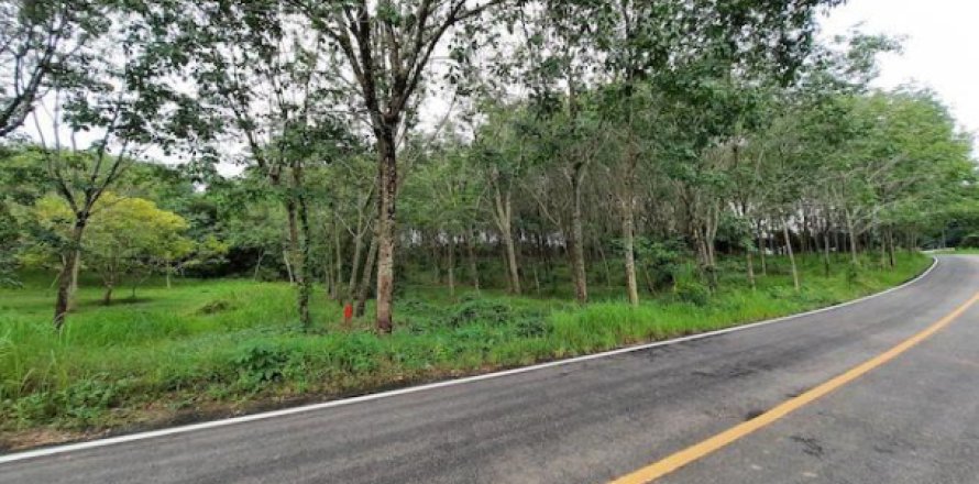 Grundstück in Krabi, Thailand 17248 m2 № 194035