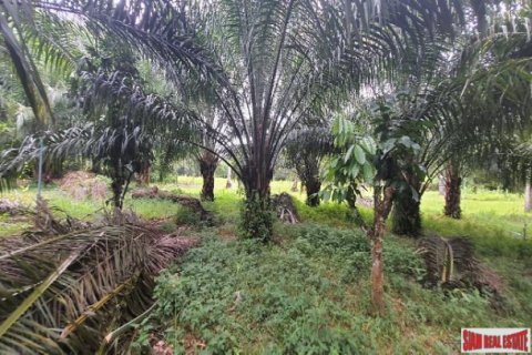 Terreno en Phang Nga, Tailandia № 203324 - foto 4