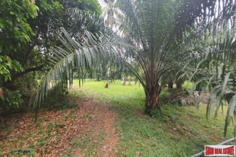 Terreno en Phang Nga, Tailandia № 203324 - foto 2
