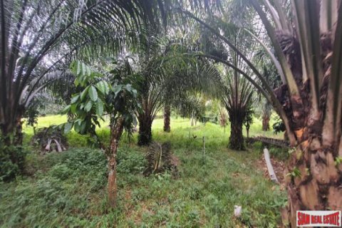 Terreno en Phang Nga, Tailandia № 203324 - foto 3