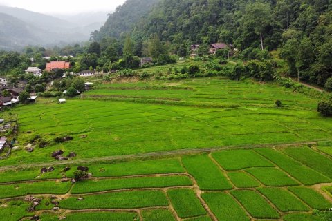 ที่ดินในMae Taeng, ประเทศไทย 6400 ตร.ม. № 171607