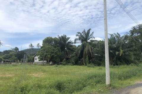 Terreno en Phuket, Tailandia № 66048 - foto 4
