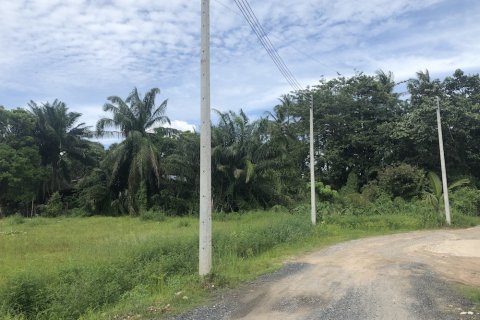 Terreno en Phuket, Tailandia № 66048 - foto 5
