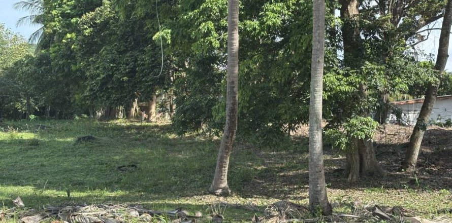 Terreno en Surat Thani, Tailandia № 155300