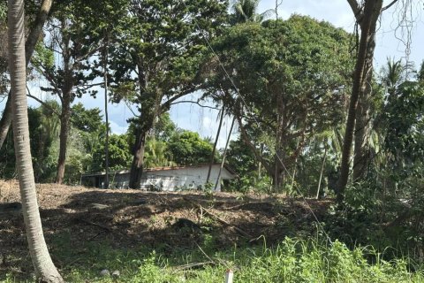 Terreno en Surat Thani, Tailandia № 155300 - foto 2