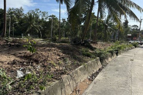 Terreno en Surat Thani, Tailandia № 155300 - foto 4