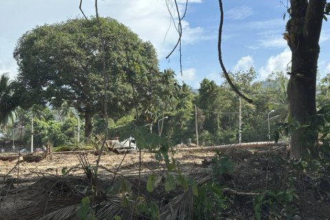 Terreno en Surat Thani, Tailandia № 155300 - foto 8