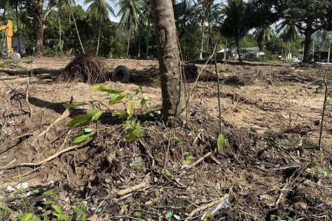 Terreno en Surat Thani, Tailandia № 155300 - foto 7
