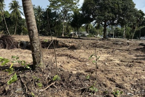 Terreno en Surat Thani, Tailandia № 155300 - foto 6