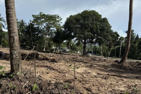 Terreno en Surat Thani, Tailandia № 155300 - foto 3