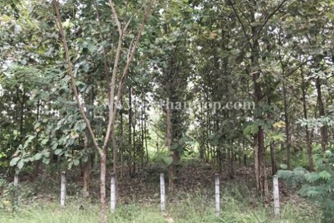 Grundstück in Lampang, Thailand 9600 m2 № 169077 - Foto 11
