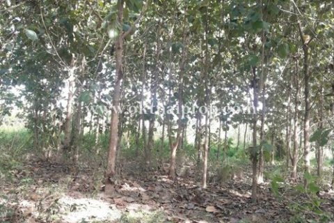 Grundstück in Lampang, Thailand 9600 m2 № 169077 - Foto 12