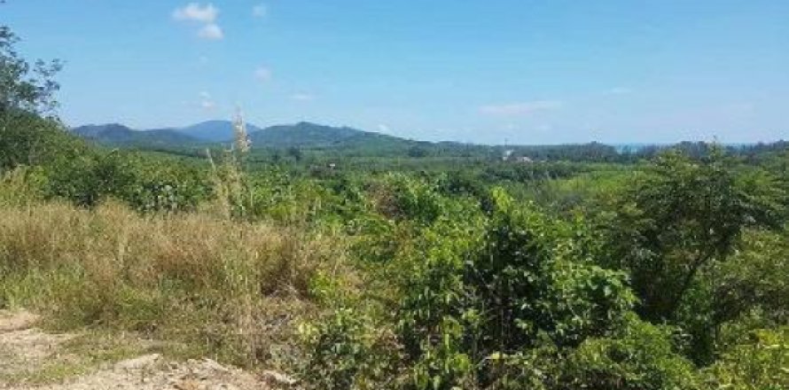 Terreno 8000 m2 en Ko Lanta Yai, Tailandia № 202618