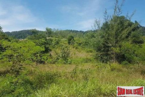 Terreno 8000 m2 en Ko Lanta Yai, Tailandia № 202618 - foto 3