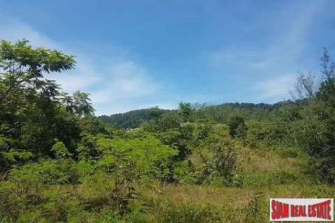 Terreno 8000 m2 en Ko Lanta Yai, Tailandia № 202618 - foto 5