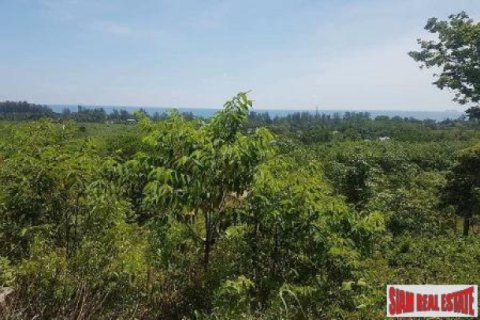 Terreno 8000 m2 en Ko Lanta Yai, Tailandia № 202618 - foto 4
