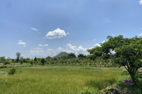 Terreno en Lamphun, Tailandia № 162550 - foto 11