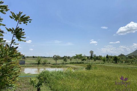 Terreno en Lamphun, Tailandia № 162550 - foto 9