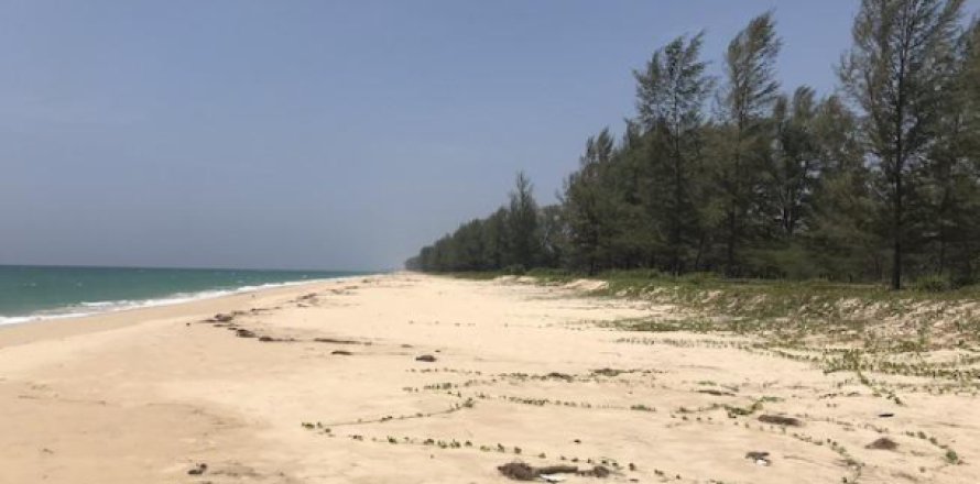 Земельный участок в Пхангнге, Таиланд 48000м2 № 202898