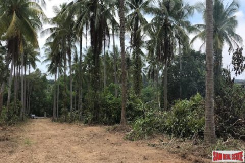 Land in Phang Nga, Thailand 27536 sq.m. № 202900