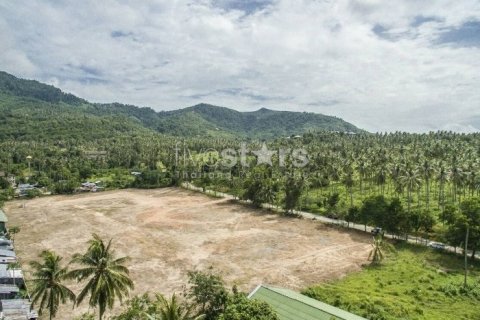 Terrain à Ko Samui, Thaïlande № 67140