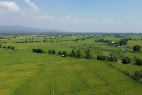 Terreno en Chiang Mai, Tailandia № 162787 - foto 11
