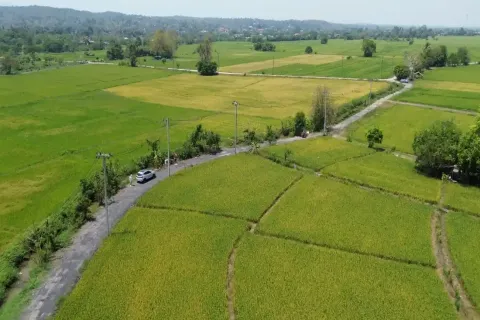 Terreno en Chiang Mai, Tailandia № 162787 - foto 4