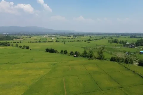 Terreno en Chiang Mai, Tailandia № 162787 - foto 6