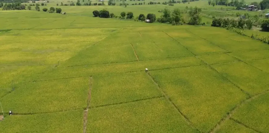 Terreno en Chiang Mai, Tailandia № 162787