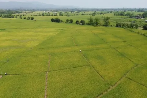 Terreno en Chiang Mai, Tailandia № 162787 - foto 2