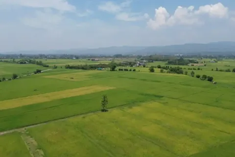 Terreno en Chiang Mai, Tailandia № 162787 - foto 7