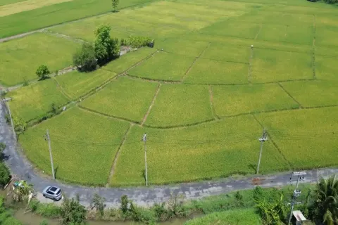 Terreno en Chiang Mai, Tailandia № 162787 - foto 5