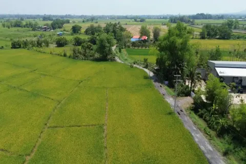 Terreno en Chiang Mai, Tailandia № 162787 - foto 3