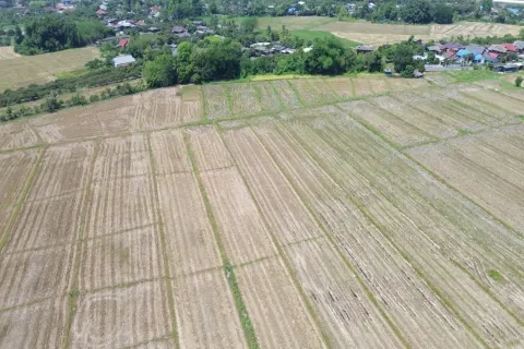 Terreno en Chiang Mai, Tailandia № 162785 - foto 3