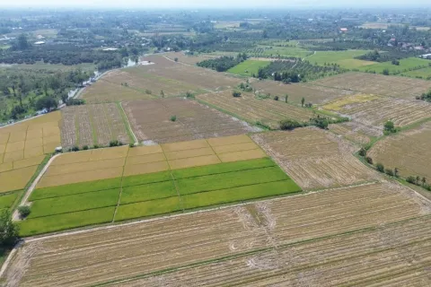 Terreno en Chiang Mai, Tailandia № 162785 - foto 2