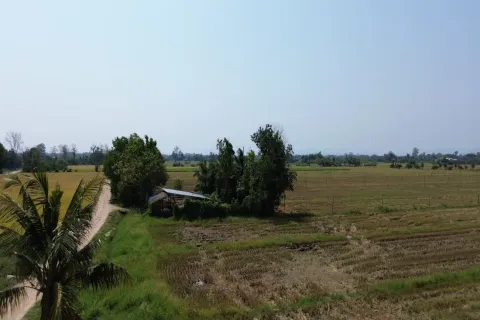 Terreno en Chiang Mai, Tailandia № 162785 - foto 5
